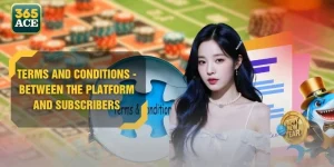 Terms and Conditions - Between the Platform and Subscribers